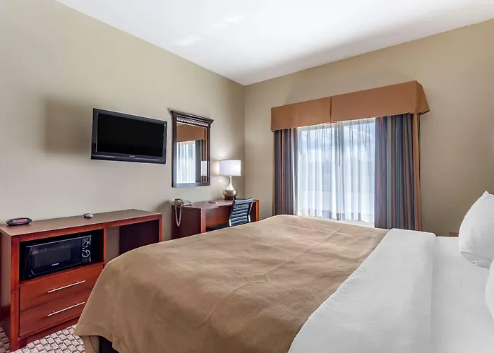 Comfort Inn & Suites Carbondale University Area